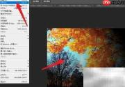 photoshop cc涂抹强度设置技巧