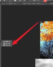 Photoshop CC涂抹强度设置技巧