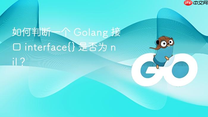 如何判断一个 golang 接口 interface{} 是否为 nil?