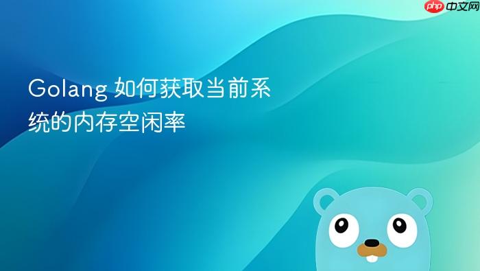 golang 如何获取当前系统的内存空闲率