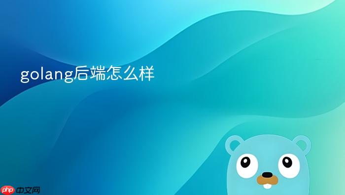 golang后端怎么样