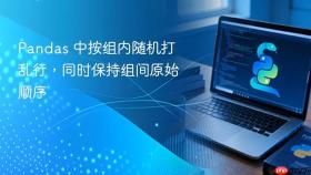 Pandas 中按组内随机打乱行，同时保持组间原始顺序
