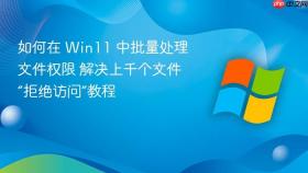 如何在 win11 中批量处理文件权限 解决上千个文件“拒绝访问”教程