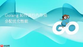 golang 如何进行内存预分配优化性能
