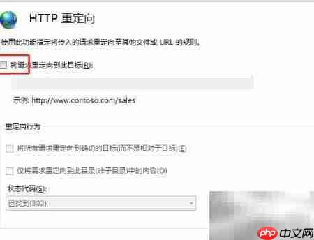 IIS设置自动跳转网页