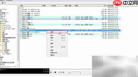 eufony转换WMA到MP3