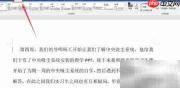 Word自带文本格式使用技巧