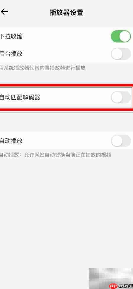 鲨鱼浏览器自动匹配解码器