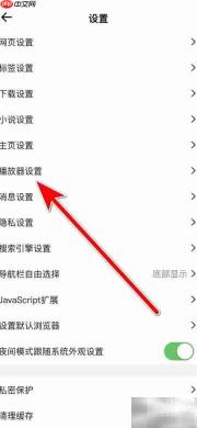 鲨鱼浏览器自动匹配解码器
