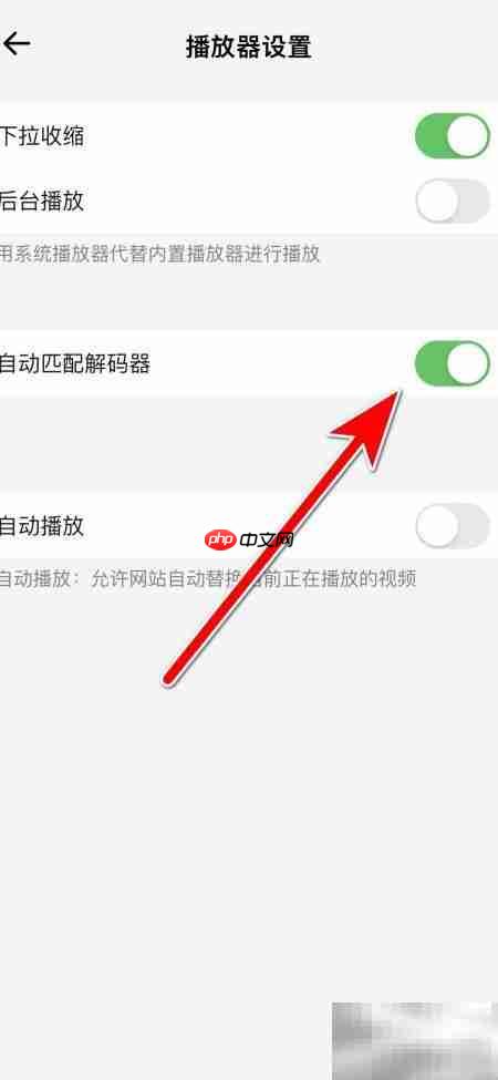 鲨鱼浏览器自动匹配解码器