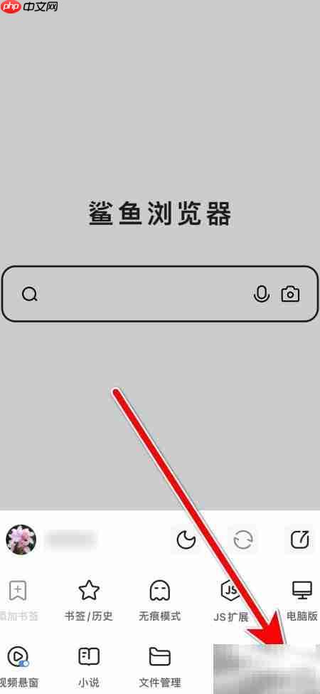 鲨鱼浏览器自动匹配解码器