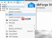 dbForge修改数据库字符集