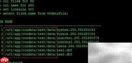 RAC Data Guard RMAN恢复报错