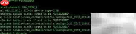 RAC Data Guard RMAN恢复报错