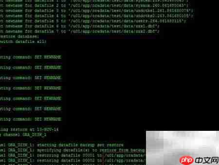 RAC Data Guard RMAN恢复报错