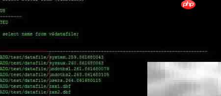 RAC Data Guard RMAN恢复报错