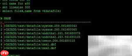 RAC Data Guard RMAN恢复报错