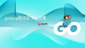 golang限流器怎么设置