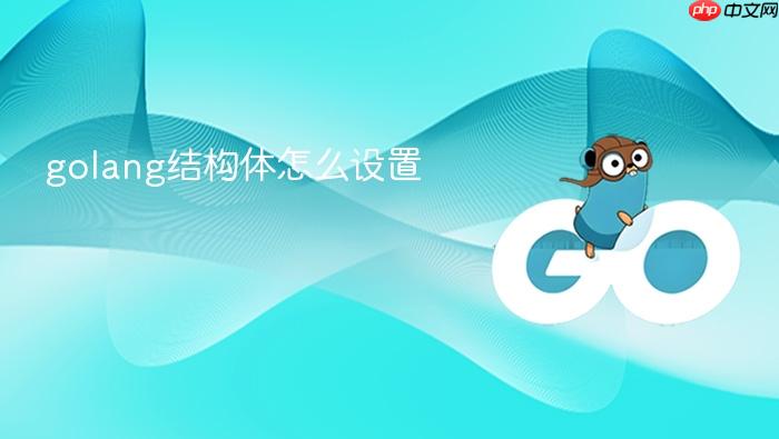 golang结构体怎么设置