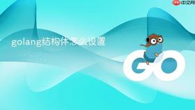 golang结构体怎么设置