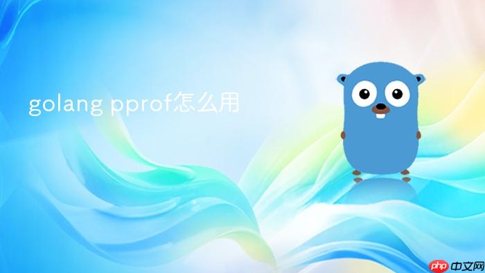golang pprof怎么用