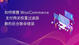 如何修复 WooCommerce 支付网关权重过滤函数的后台致命错误