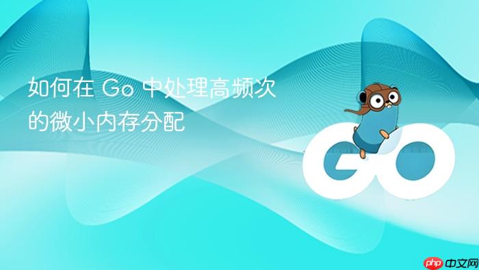 如何在 go 中处理高频次的微小内存分配