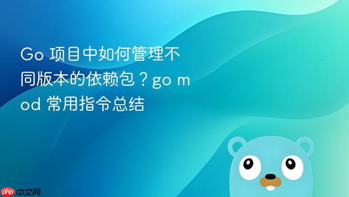 go 项目中如何管理不同版本的依赖包?go mod 常用指令总结