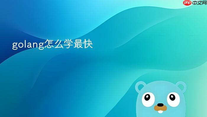 golang怎么学最快