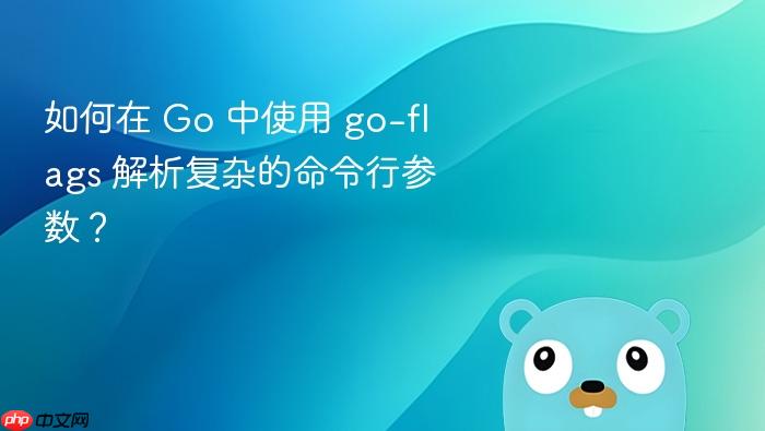 如何在 go 中使用 go-flags 解析复杂的命令行参数?