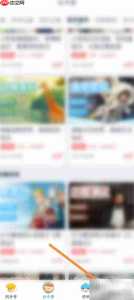 纳米盒电子码使用指南