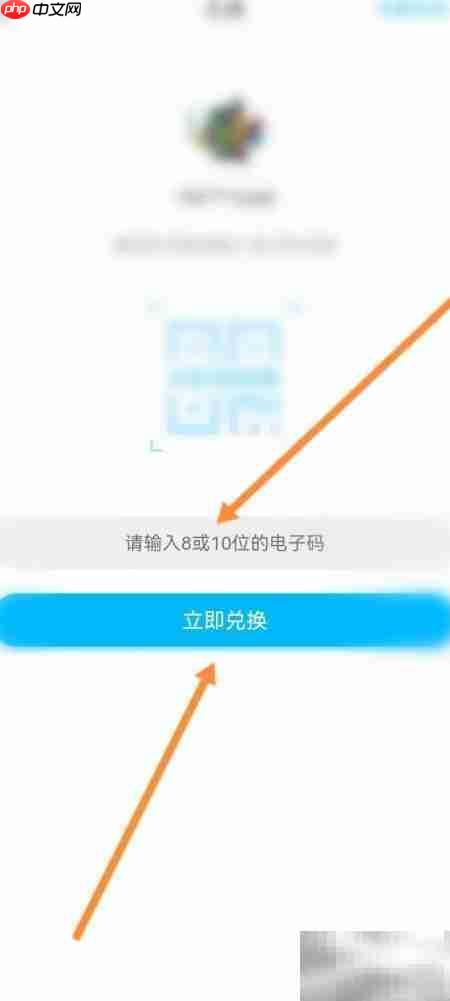 纳米盒电子码使用指南