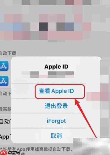 苹果订阅打不开?原因揭秘