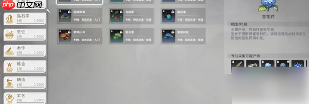 星痕共鸣角色技能能重置吗 星痕共鸣技能重置方法