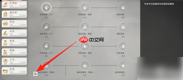 星痕共鸣角色技能能重置吗 星痕共鸣技能重置方法