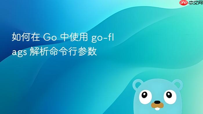 如何在 go 中使用 go-flags 解析命令行参数