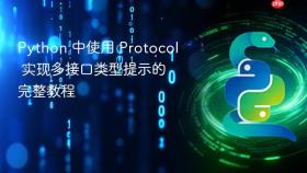 Python 中使用 Protocol 实现多接口类型提示的完整教程
