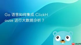 go 语言如何集成 clickhouse 进行大数据分析？