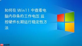 如何在 win11 中查看电脑内存条的工作电压 监控硬件长期运行稳定性方法