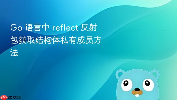 go 语言中 reflect 反射包获取结构体私有成员方法
