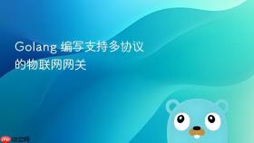 golang 编写支持多协议的物联网网关