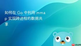 如何在 go 中利用 mmap 实现跨进程的数据共享