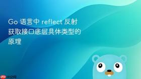 go 语言中 reflect 反射获取接口底层具体类型的原理