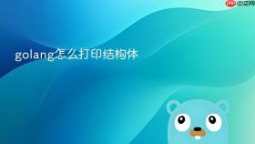 golang怎么打印结构体