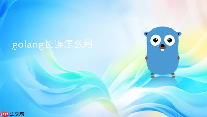 golang长连怎么用