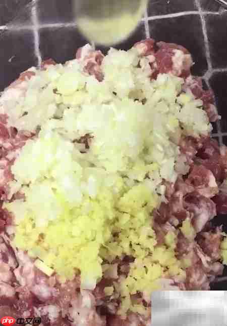 红烧狮子头简易做法