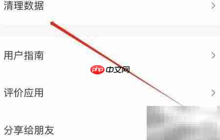 Focus数据清理方法解析