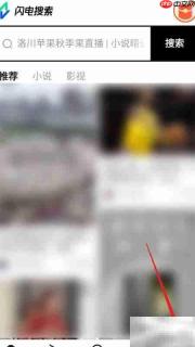如何查看闪电搜索用户协议