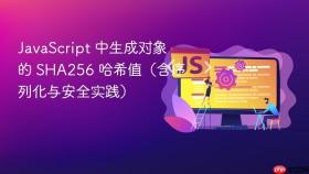 JavaScript 中生成对象的 SHA256 哈希值(含序列化与安全实践)