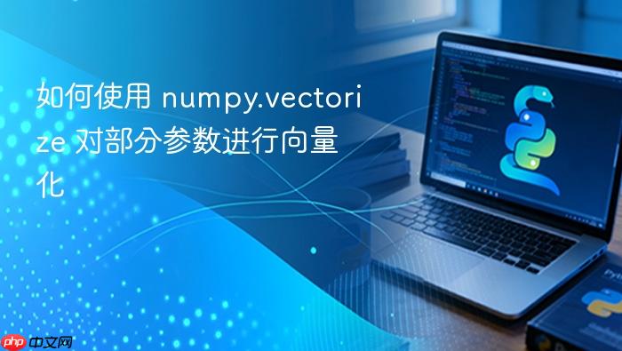 如何使用 numpy.vectorize 对部分参数进行向量化